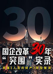 国企改革30年突围实录