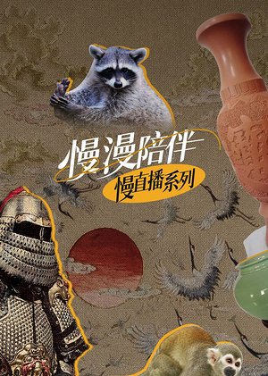 慢漫陪伴