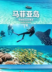 马菲亚岛：隐秘的生态瑰宝