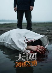 天网潜藏之罪