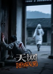 天网迷情凶案