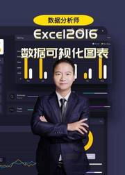 商业数据分析师：Excel2016数据可视化图表