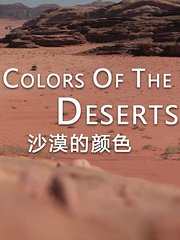 沙漠的颜色