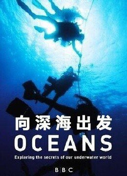 BBC：海洋