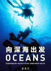 BBC：海洋