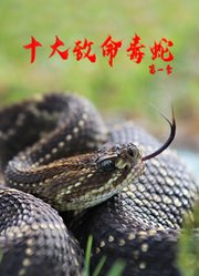 十大致命毒蛇第1季配音版