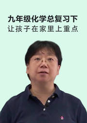 九年级化学总复习下