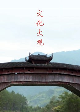 文化大观