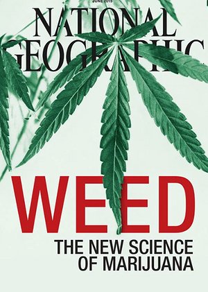 药用大麻淘金梦