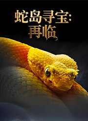 蛇岛寻宝：再临