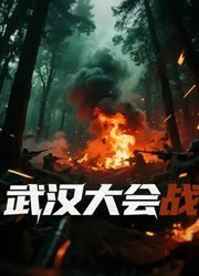 武汉大会战