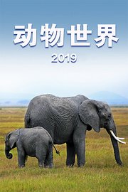 动物世界2019