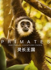 灵长王国-原声版