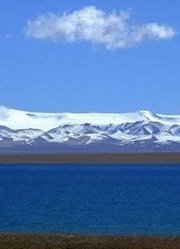 探秘可可西里