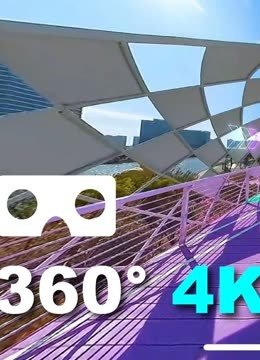VR·大湾区