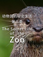 动物园的秘密生活第3季