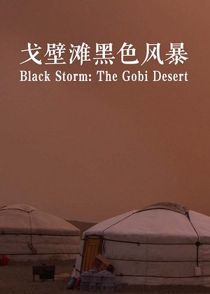 戈壁滩黑色风暴
