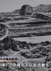 八路军向平原地区挺进，先后建立了，冀南冀东抗日根据地