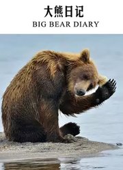 大熊日记
