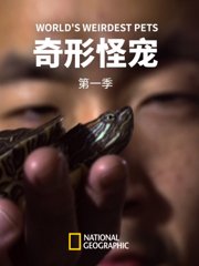 奇形怪宠第1季