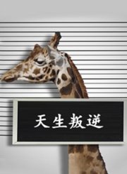 天生叛逆