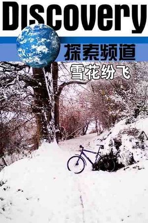 探索频道之雪花纷飞