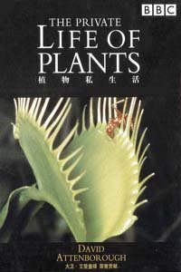 植物私生活