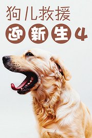 狗儿救援迎新生4