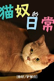 猫奴的日常