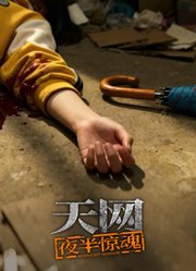 天网：夜半惊魂