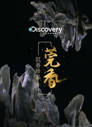 Discovery：沉香珍品莞香