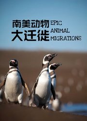 南美动物大迁徙