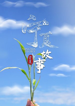 宁夏故事2021