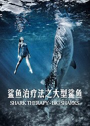 鲨鱼治疗法之大型鲨鱼