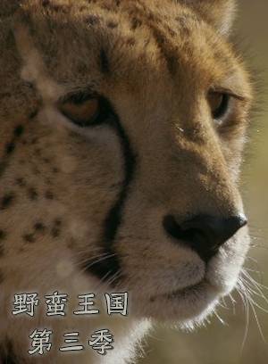 野蛮王国第3季