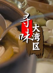 寻味大湾区英文版