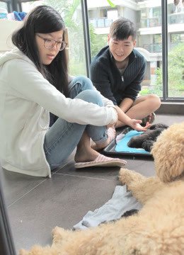 四条腿的朋友第一季