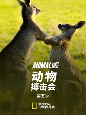 动物搏击会第5季