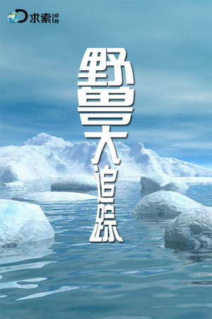 野兽大追踪