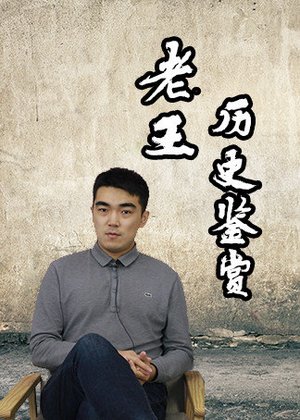 老王历史鉴赏
