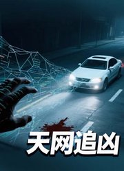 天网追凶