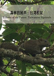 森林的回声：台湾松鼠
