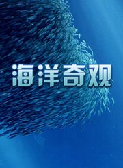 海洋奇观
