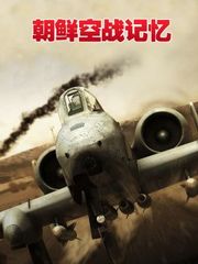朝鲜空战记忆