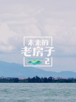 未来的老房子2