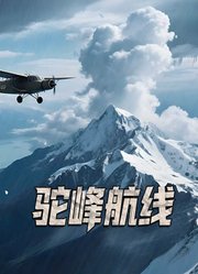 驼峰航线