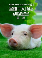 全球十大顶级动物宝宝第1季