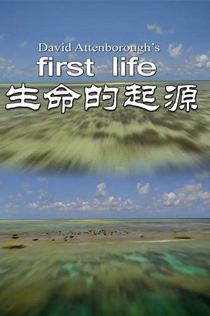 生命的起源