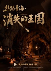 丝路青海·消失的王国