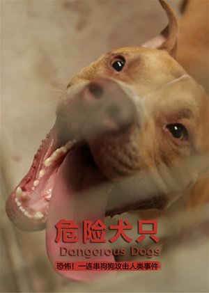 危险犬只